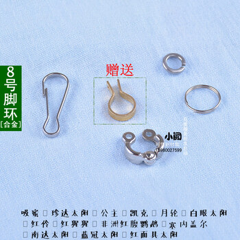 首销优惠价2399元起